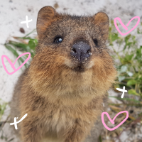 MiatheMarsupial